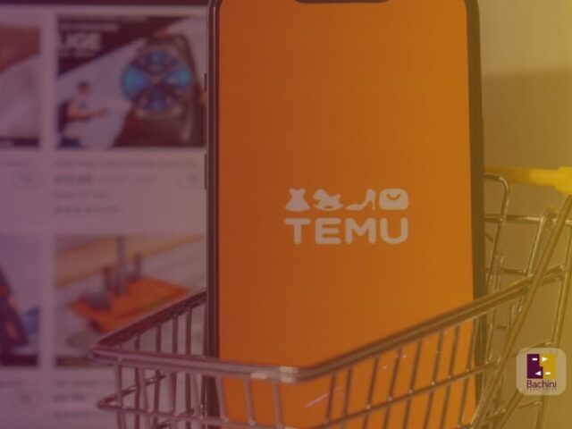 Medidas que plantea la Cámara de la Economía digital para afrontar el efecto «TEMU»