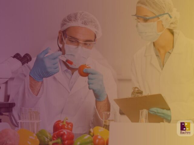 Importancia de los trámites de Habilitación Bromatológica de Empresas Alimentarias en Uruguay