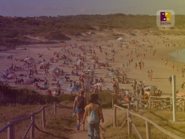 Otorgan nuevamente beneficios fiscales a turistas no residentes