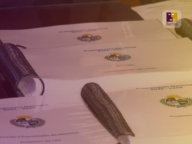 Compras en el exterior: Cambios tributarios propuestos en el Proyecto de ley de Presupuesto 2025-2029